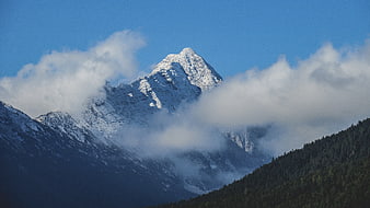 Snowy mountain peak rising above clouds and forest