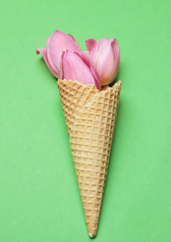 Pink Tulips in Waffle Cone on Green Background