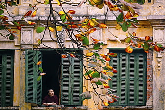 Woman looking out from a window in a yellow colonial building in Hanoi