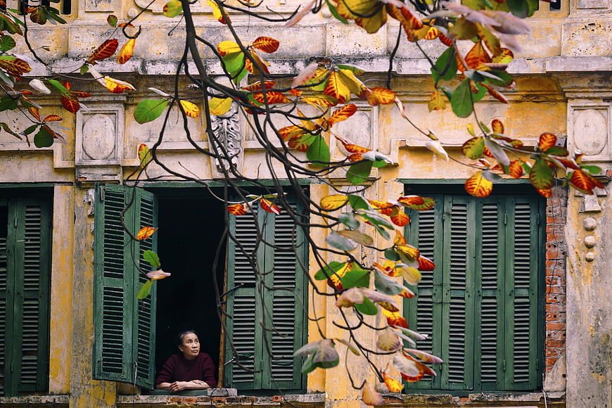 Woman looking out from a window in a yellow colonial building in Hanoi