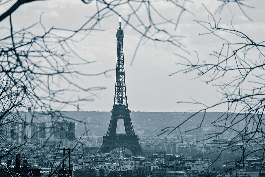 Eiffel Tower View Through Bare Winter Branches in Paris
