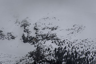 Snowy mountain peak with evergreen forest in winter