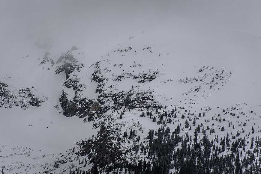 Snowy mountain peak with evergreen forest in winter