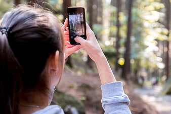 Woman Taking Photo of Forest with Smartphone