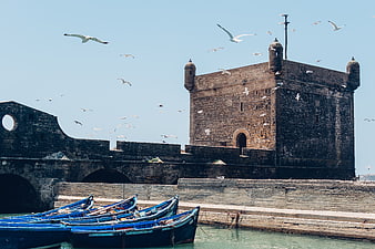 Blue Fishing Boats Docked at Historic Stone Fortress with Seagulls
