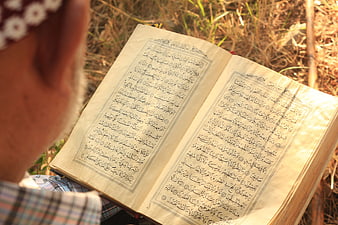 Senior man reading open Quran book outdoors in natural light