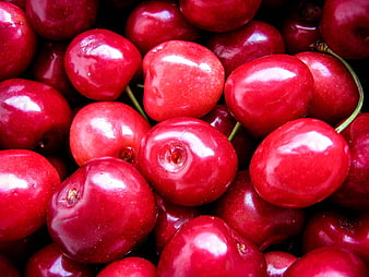 Close-up of fresh red cherries with glossy skin
