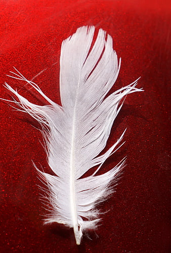 White Feather on Red Glitter Background