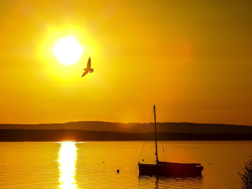 Silhouette of Sailboat and Bird at Golden Sunset
