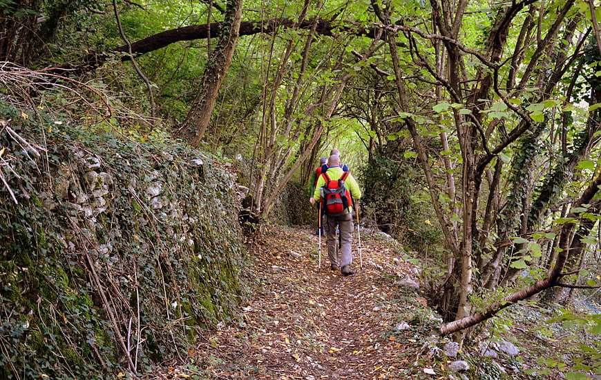 Hikers walking on a forest trail in Lessinia, Italy