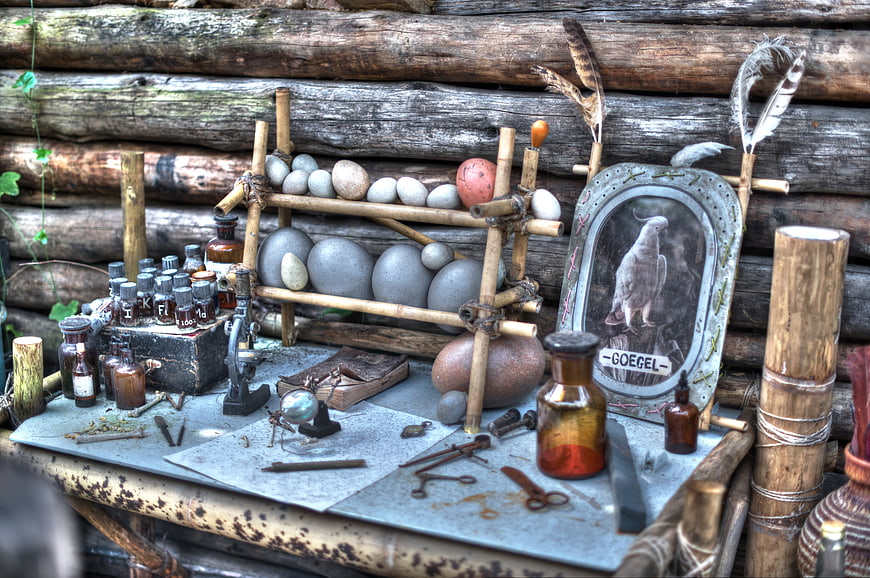 Vintage Alchemist Table with Bird Eggs and Antique Bottles