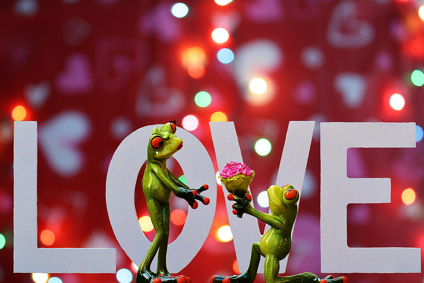 Cute Green Frog Figurines Presenting Roses Against LOVE Text