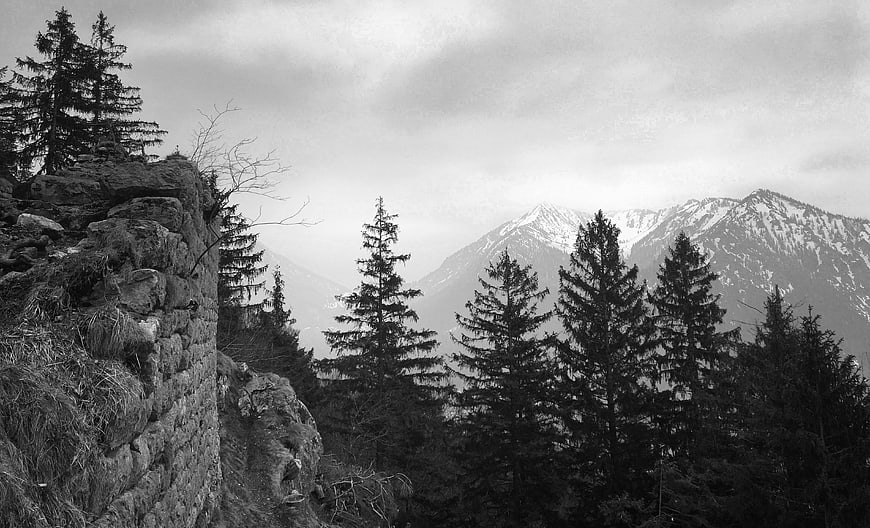 Black and white mountain landscape with pine trees and rocky cliff