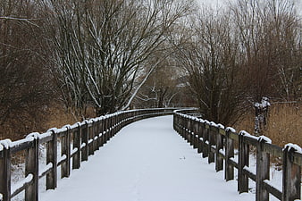 Snow-covered wooden bridge in winter forest
