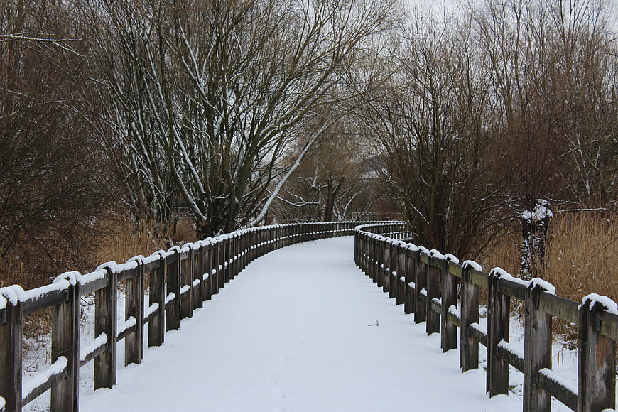 Snow-covered wooden bridge in winter forest
