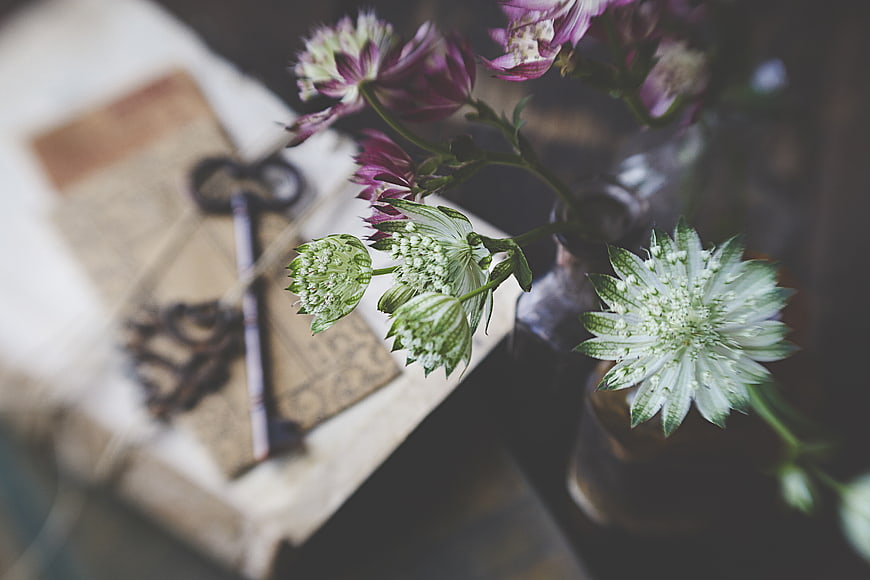 Vintage Key and Astrantia Flowers on Old Book
