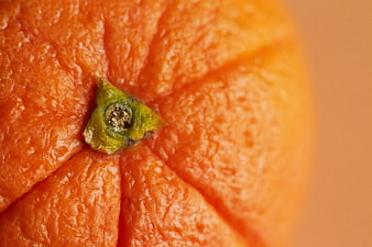Macro Close-Up of Orange Citrus Fruit Peel Texture