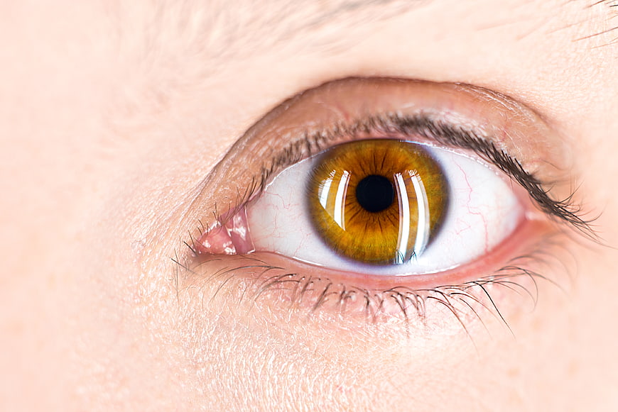 Close-up of a hazel human eye with detailed iris texture