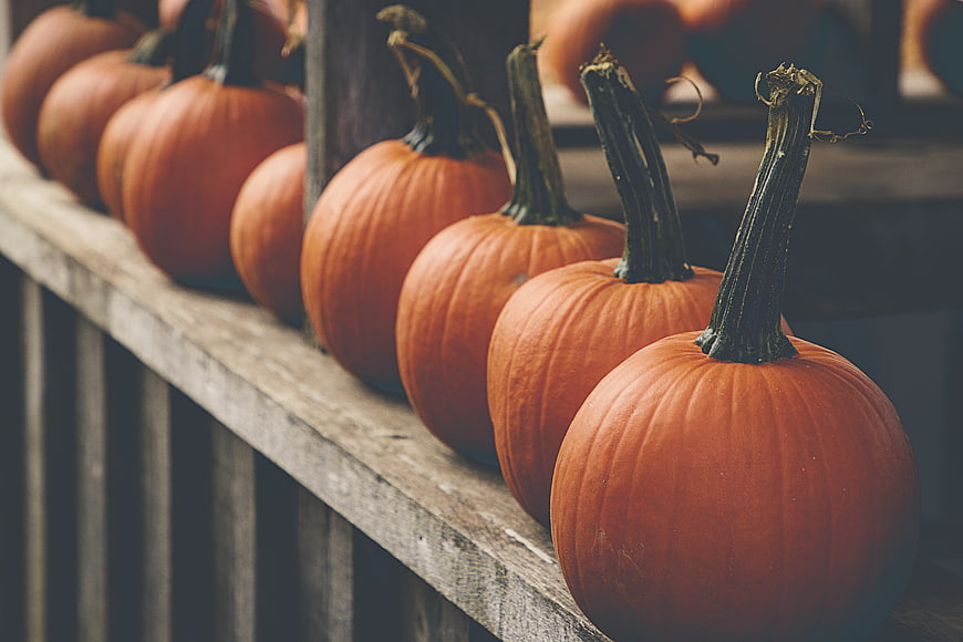 Row of orange pumpkins on rustic wooden shelf
