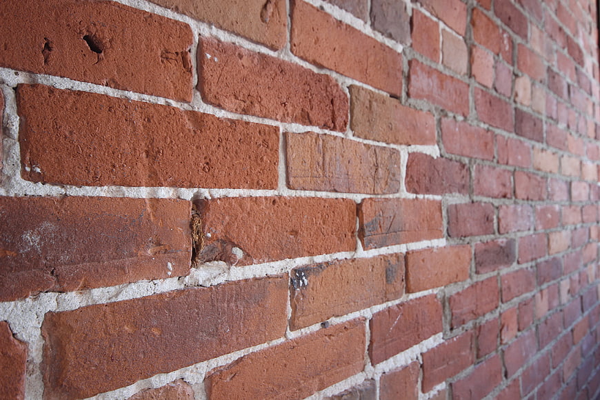 Close-up of red brick wall texture with white mortar