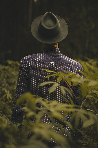 Man in Fedora Hat Standing in Cannabis Field