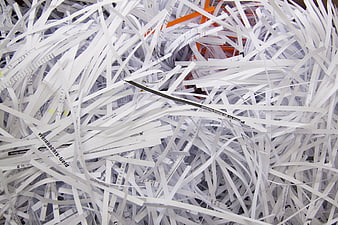 Close-up of shredded paper strips in a recycling bin