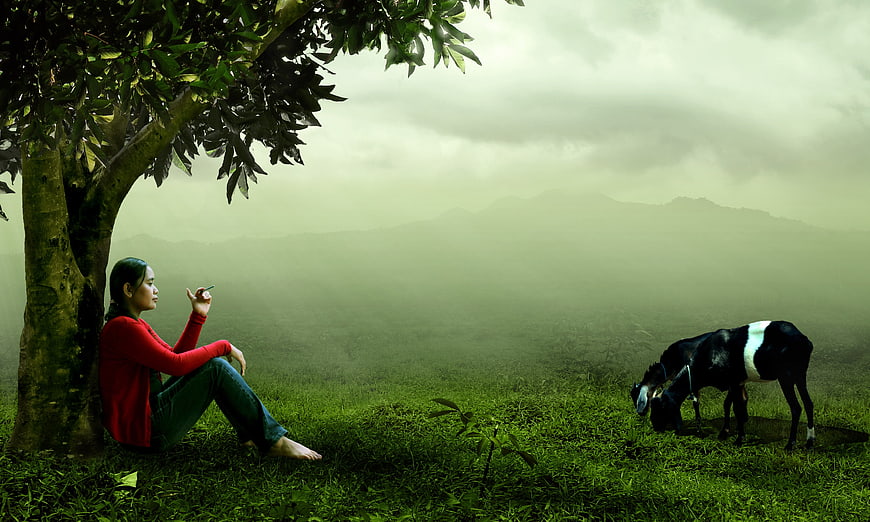 Woman sitting under tree with grazing goat in misty landscape
