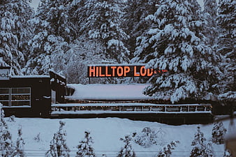 Snowy Hilltop Lodge with Neon Sign in Winter Forest