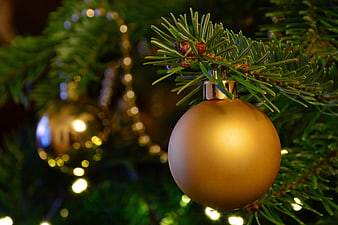 Gold Christmas Ornament on Fir Tree Branch with Warm Bokeh Lights