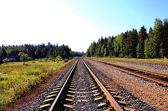 Railway Tracks Leading Through Forest Landscape