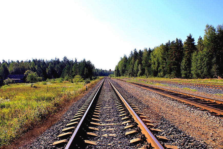 Railway Tracks Leading Through Forest Landscape