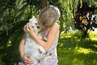 Girl Kissing White Dog in Sunny Garden
