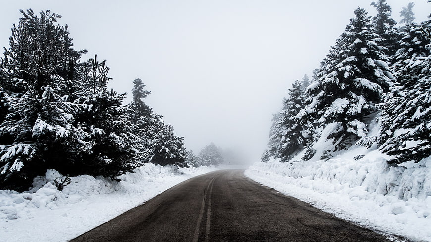 Foggy Winter Road Through Snowy Pine Forest