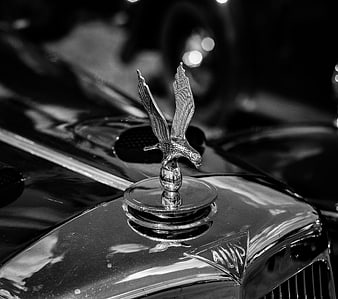 Vintage A.L.W.S. Eagle Car Hood Ornament Close-Up
