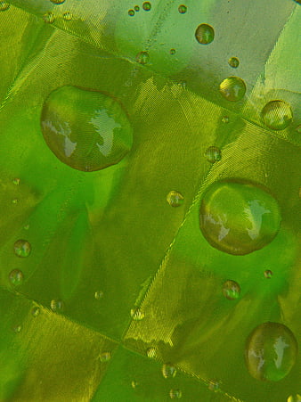 Macro Green Water Droplets on Textured Fabric