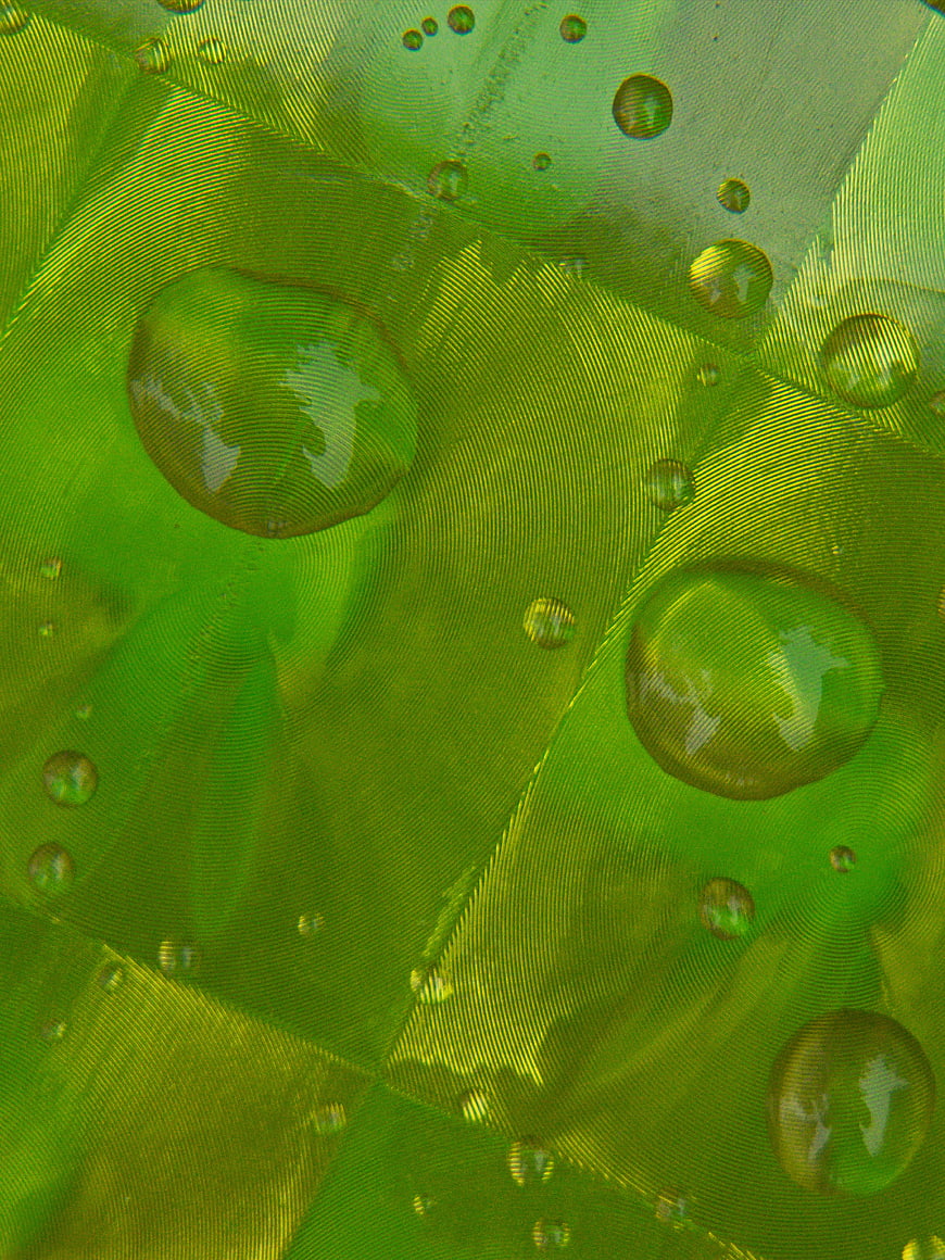 Macro Green Water Droplets on Textured Fabric