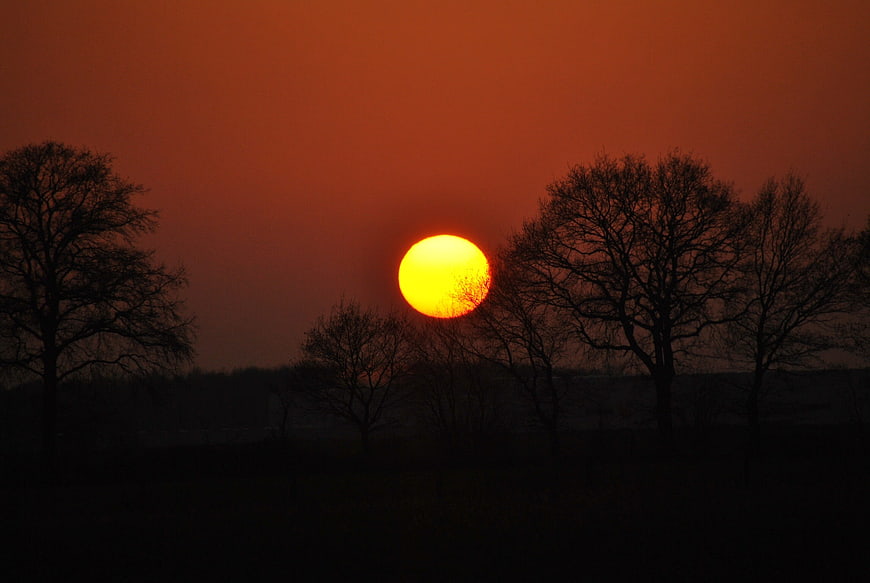 Silhouetted Trees Against Vibrant Orange Sunset Sky