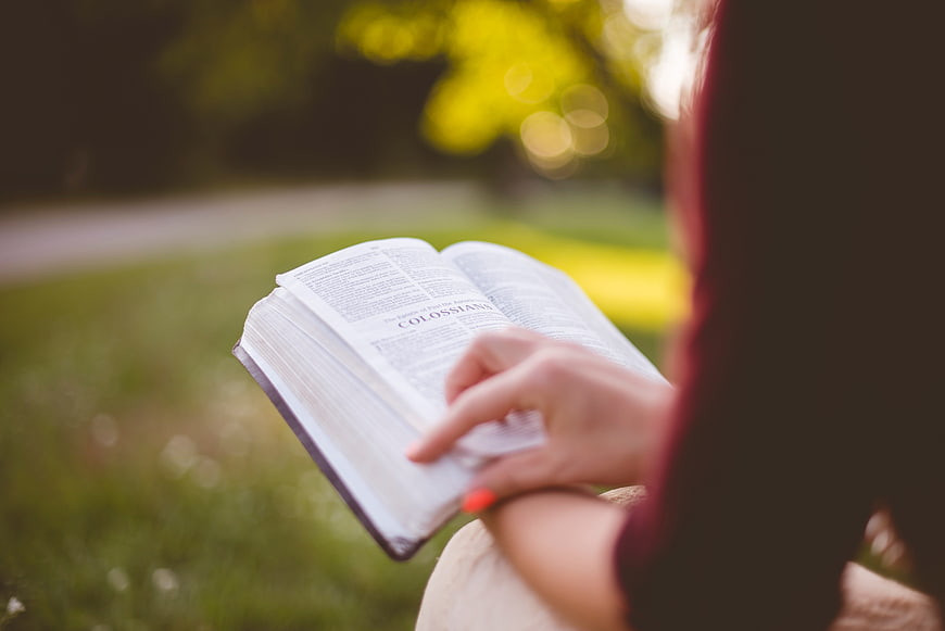 Woman Reading Bible Outdoors In Park