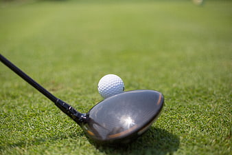 Golf Driver and Ball on Green Grass