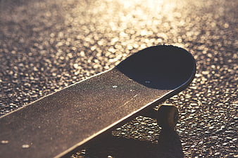 Skateboard on asphalt with golden hour sunlight and bokeh