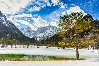 Snowy Alpine Lake with Pine Tree and Mountain Reflection