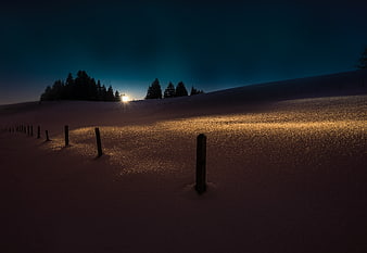 Golden Sunlight on Snowy Winter Landscape with Fence Posts