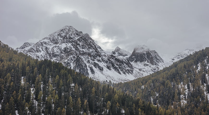 Snowy mountain peaks with autumn larch forest landscape