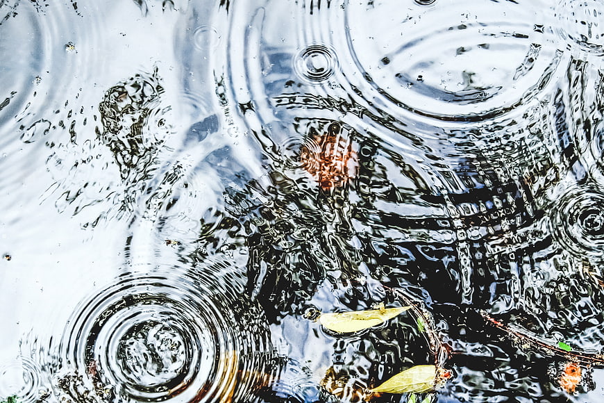 Raindrops creating ripples in a puddle with fallen leaves