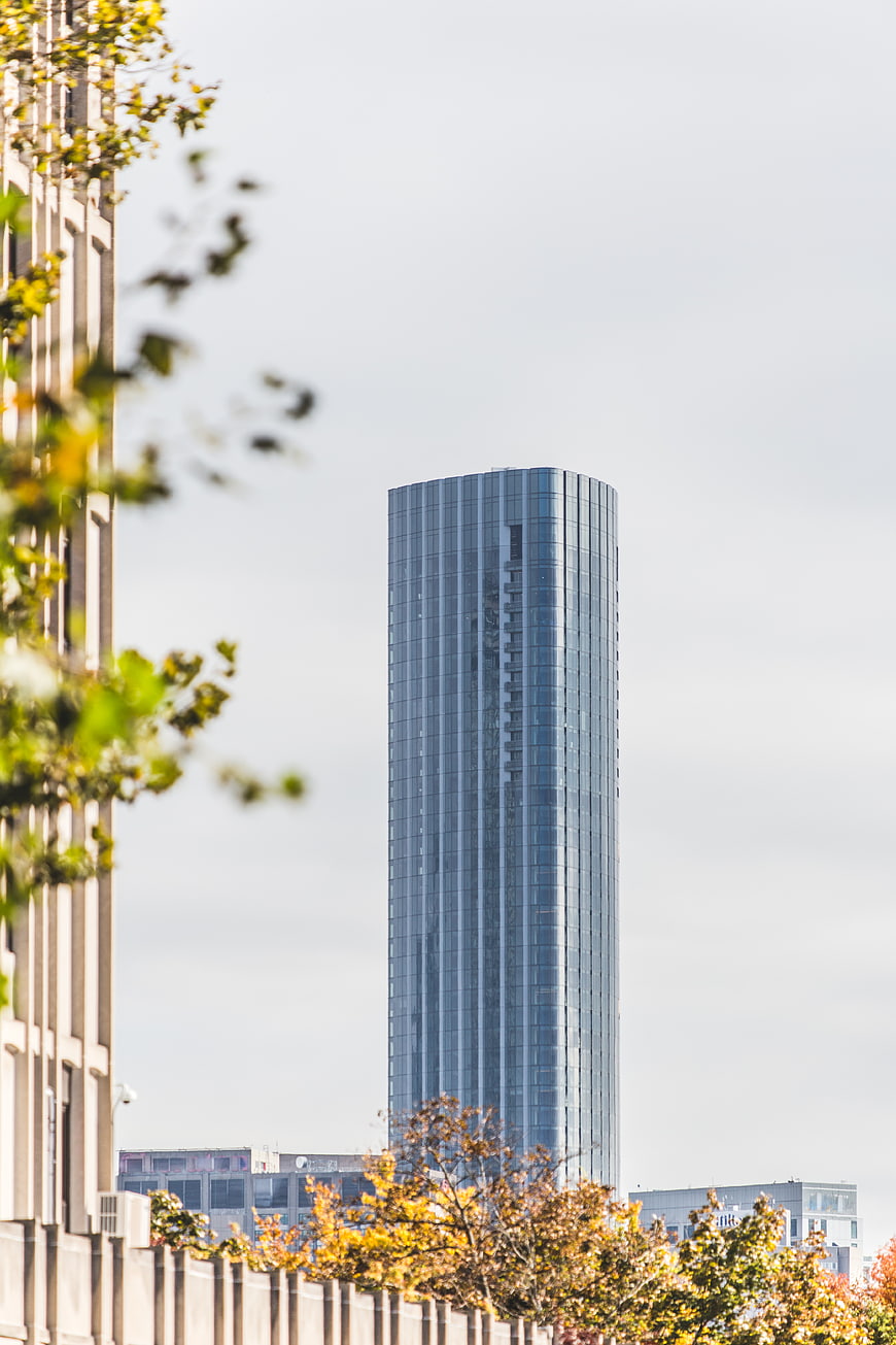 Modern Glass Skyscraper with Autumn Foliage Foreground