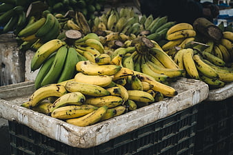 Fresh ripe bananas in crates at a local market