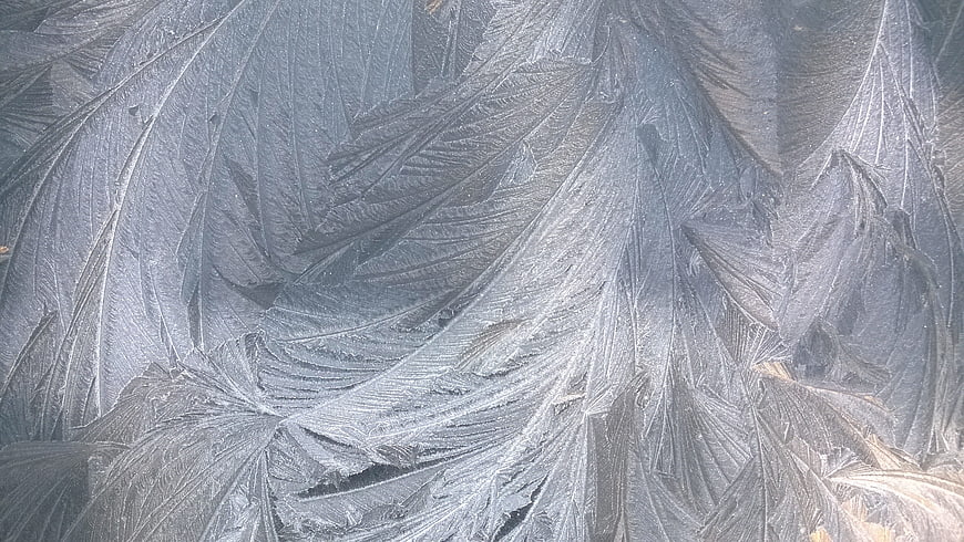 Abstract Frost Patterns on Frozen Window Glass