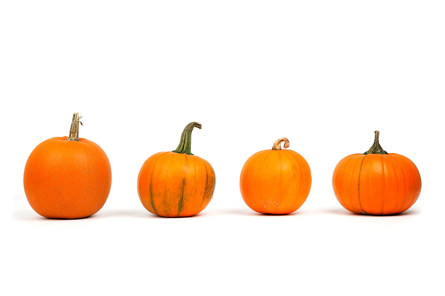 Four small orange pumpkins in a row on white background