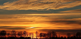 Dramatic Orange Sunset Sky with Silhouetted Trees