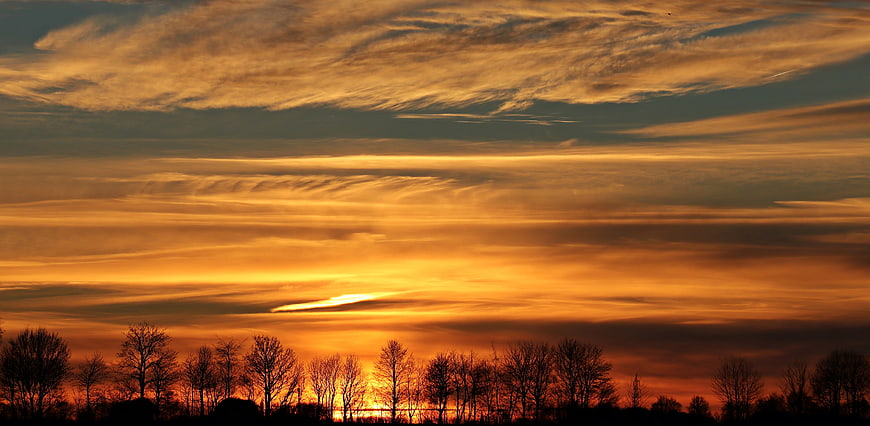 Dramatic Orange Sunset Sky with Silhouetted Trees